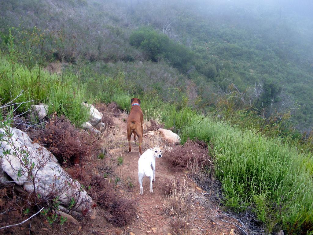 Featherbed Somerset West Pokój zdjęcie