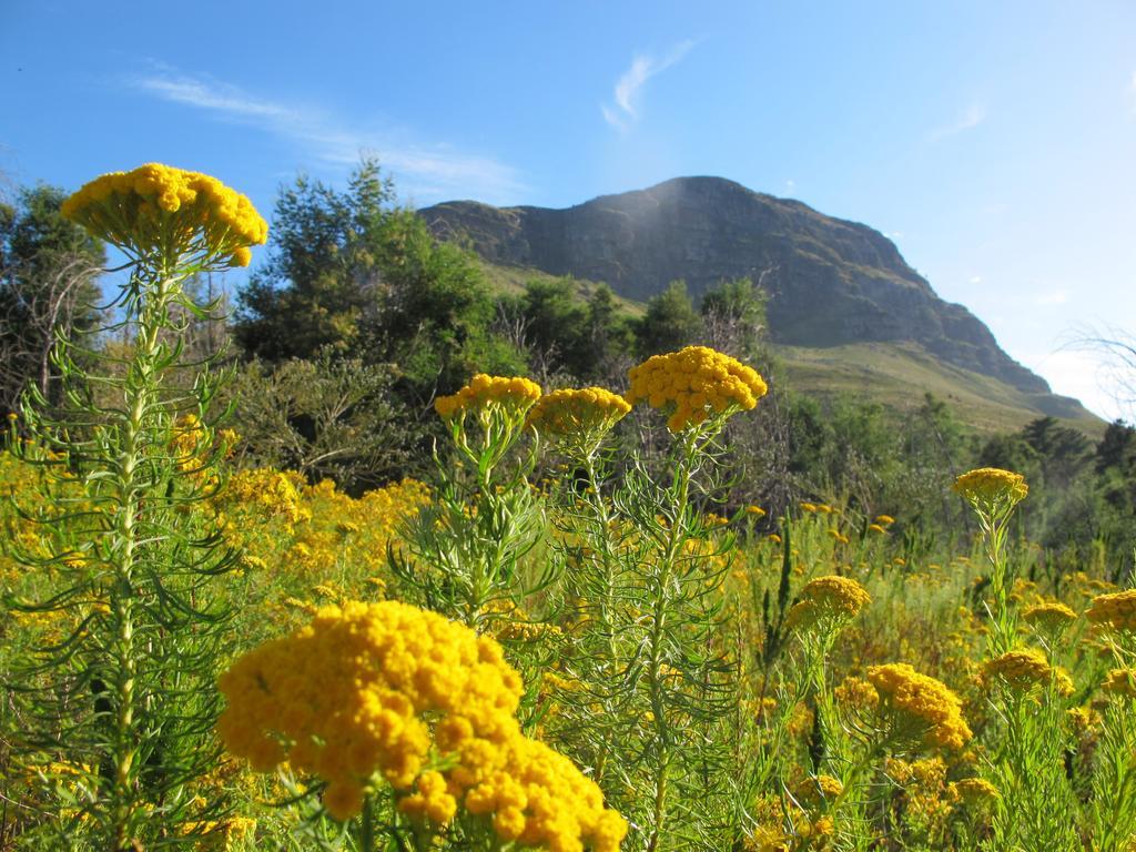 Featherbed Somerset West Pokój zdjęcie